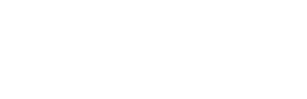 Store Changers logo wit