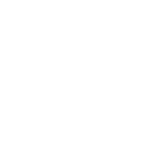 logo-overzicht-Bold Beans