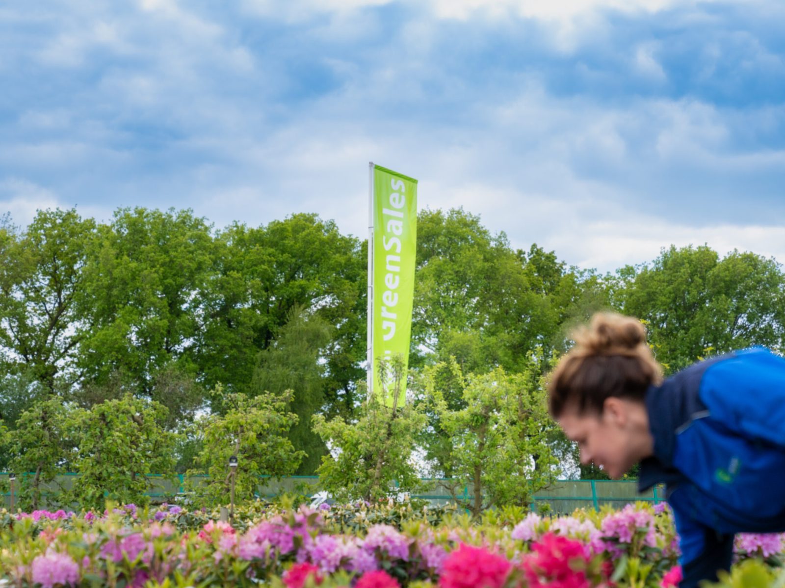 GreenSales_Mei2025-11