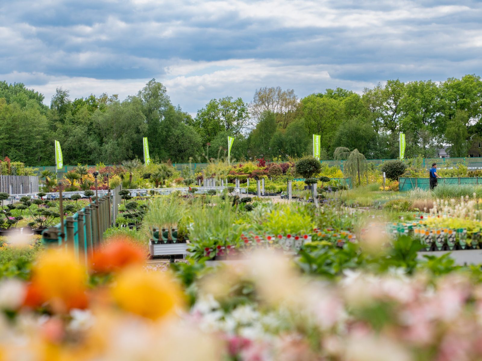 GreenSales_Mei2025-20