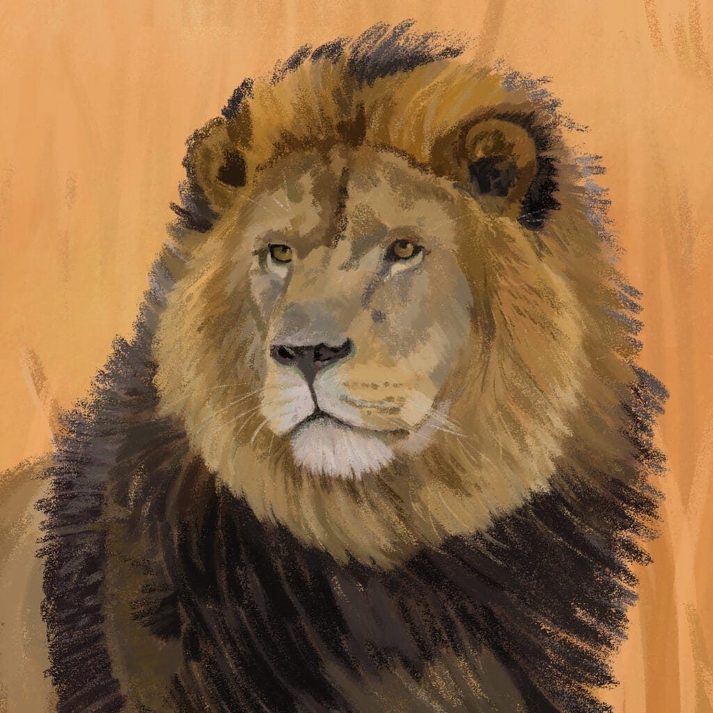 Mega groot doek detail 3