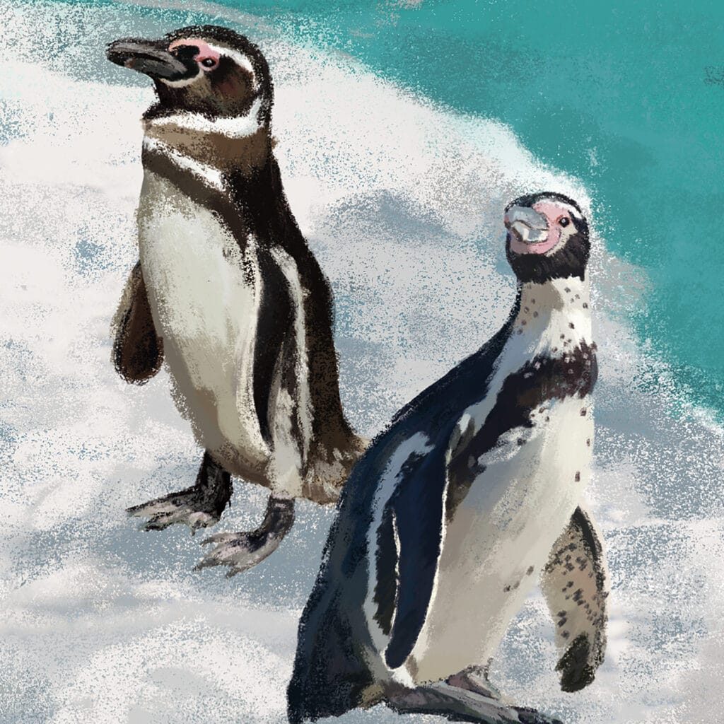 Mega groot doek detail 7